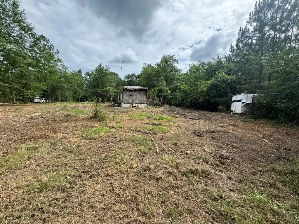 Picture 19