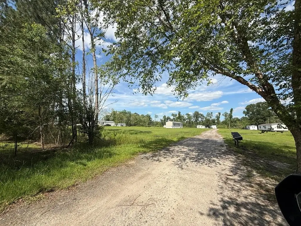 Picture 23