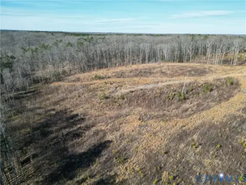 26 Acres Near South Anna River