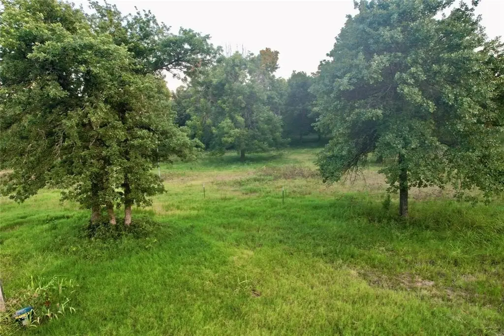 Picture 17
