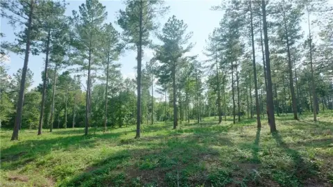 4.95 Acres Ready-to-Build Land