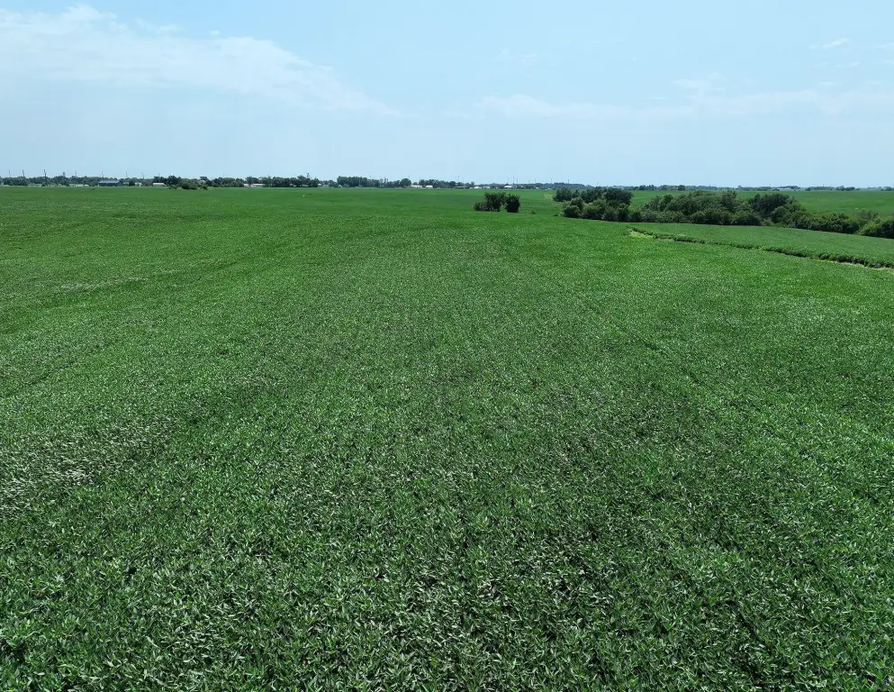 Picture 6