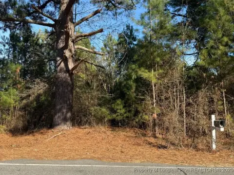 Wooded Homesite in Erwin, NC