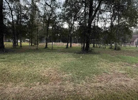 Residential Lot in Lumberton, TX