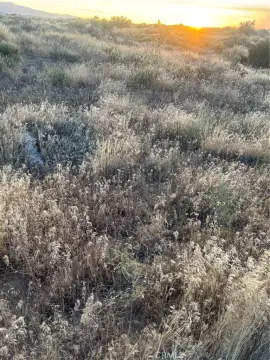 Affordable Land in Adelanto, CA
