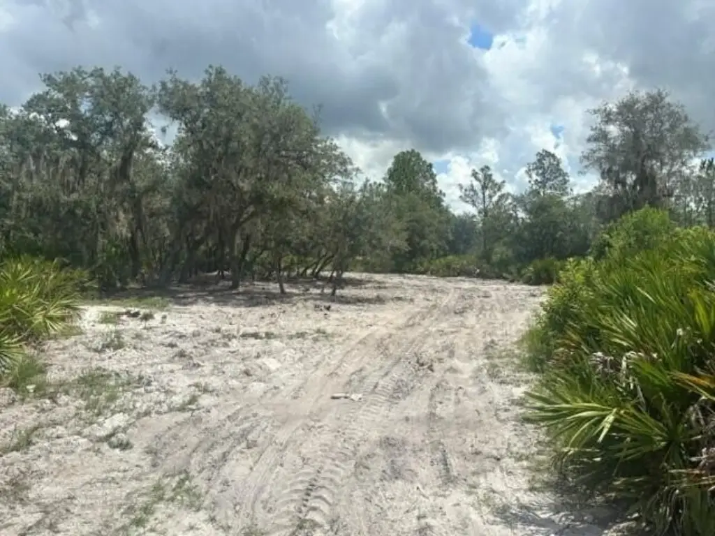 Picture 5