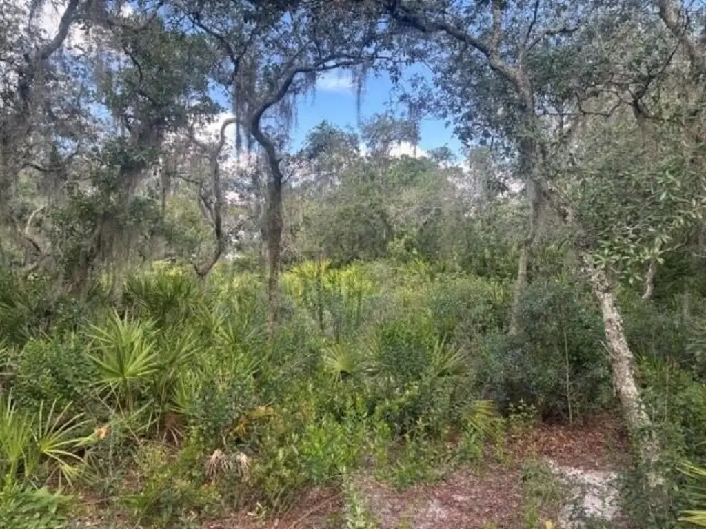 Picture 7