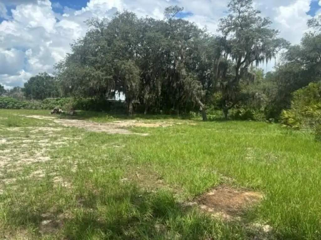 Picture 3