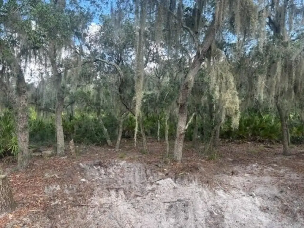 Picture 4