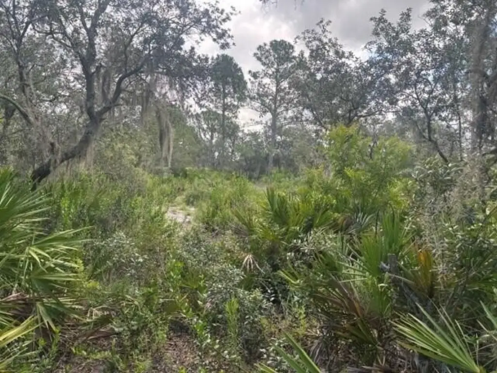 Picture 6