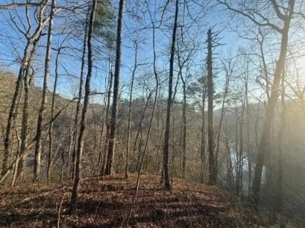 Picture 5