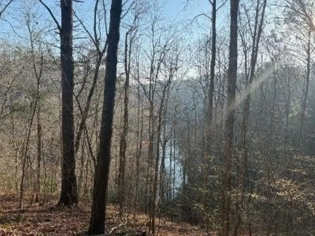 Picture 4