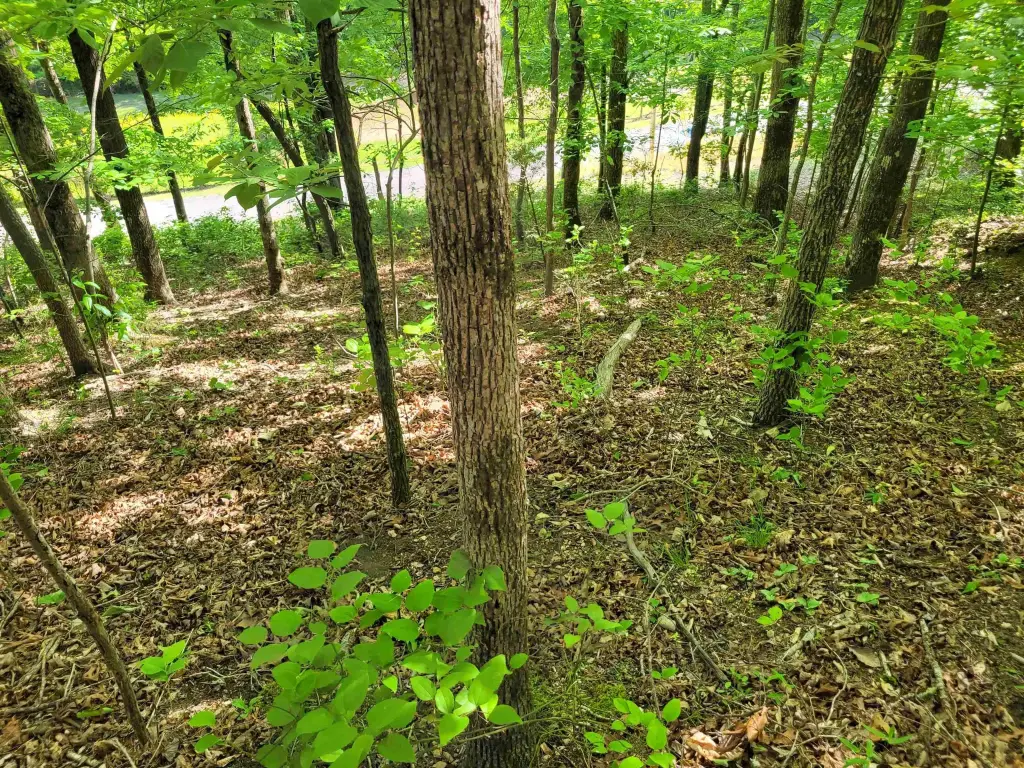 Picture 29