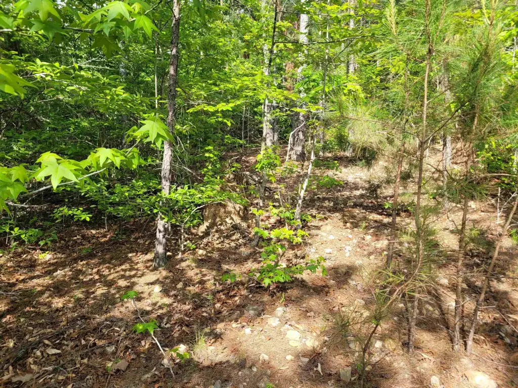 Picture 17