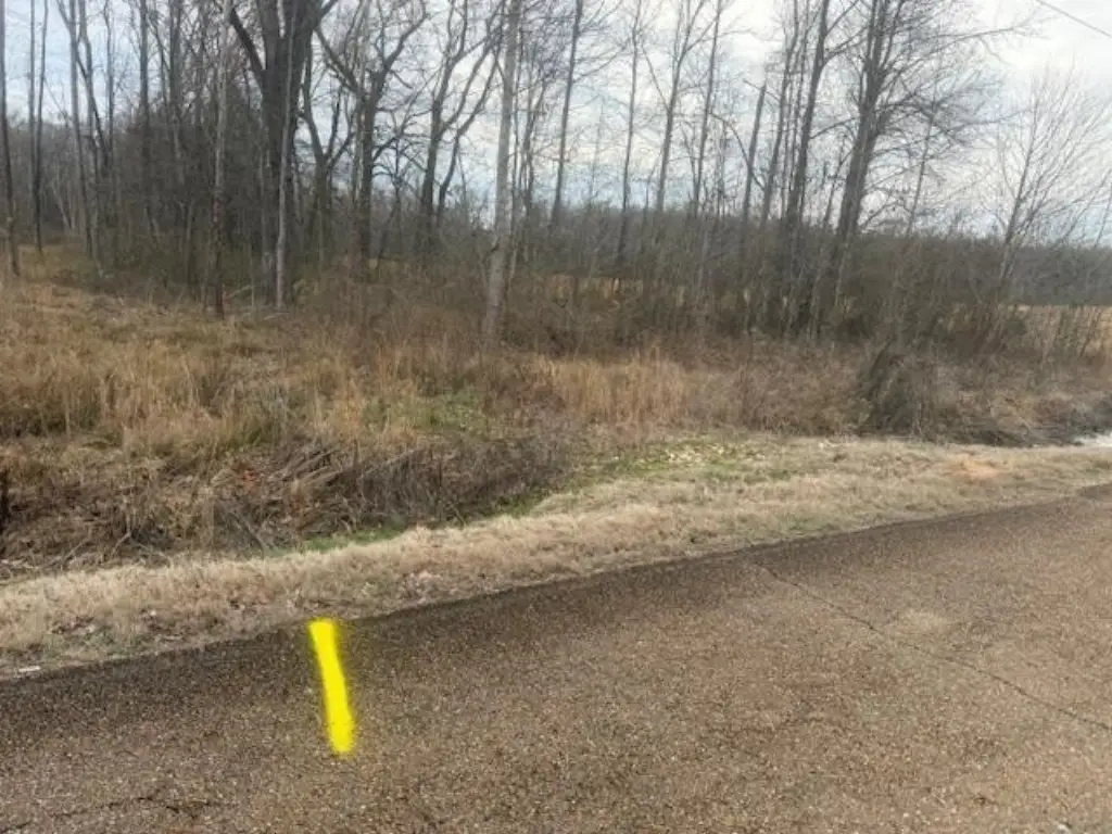 Picture 3