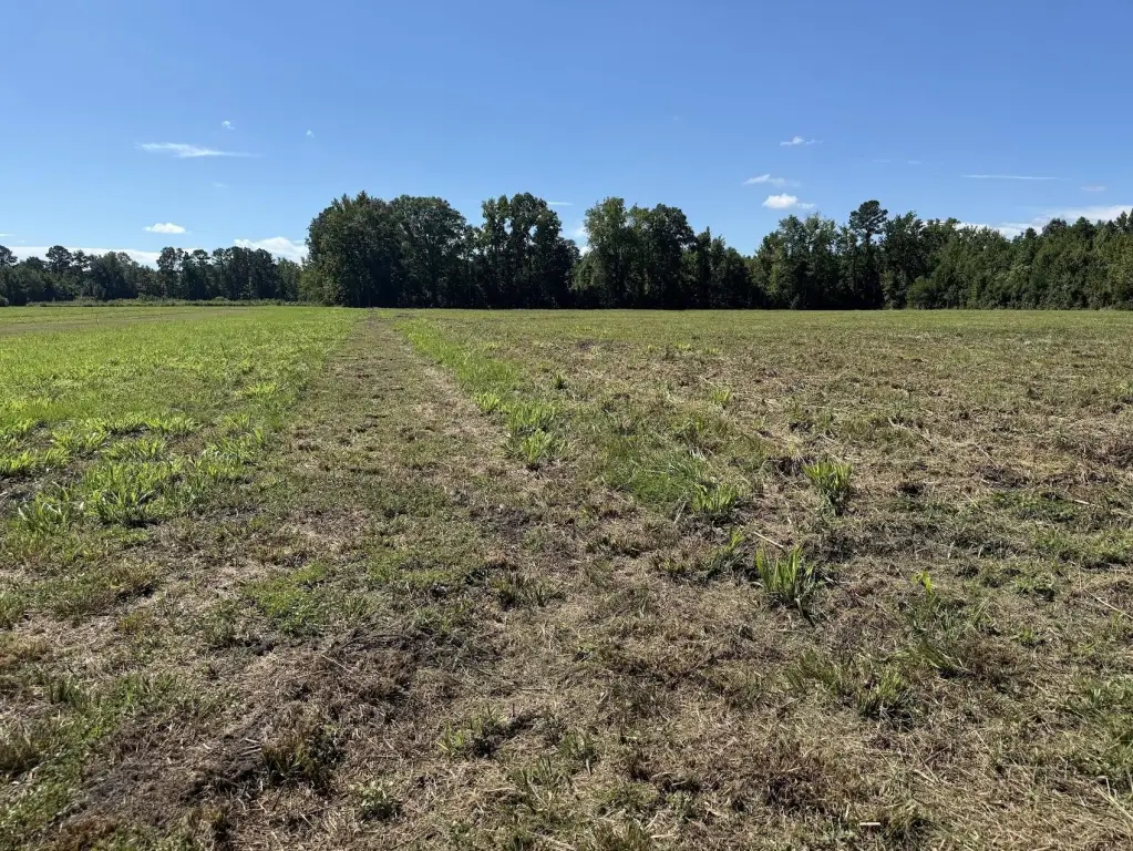 Picture 7