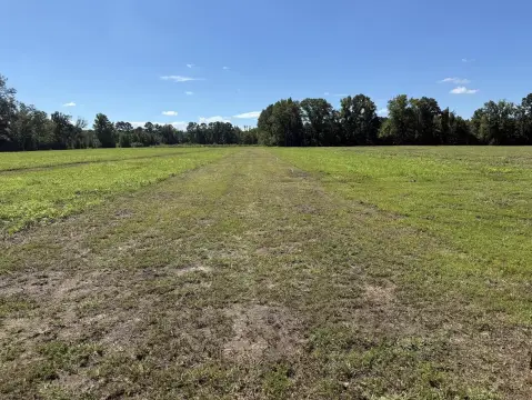 Commercial Land with US-17 Frontage