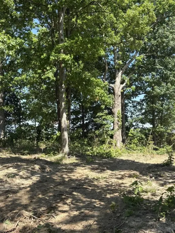 Picture 25