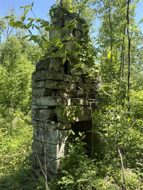 Picture 18