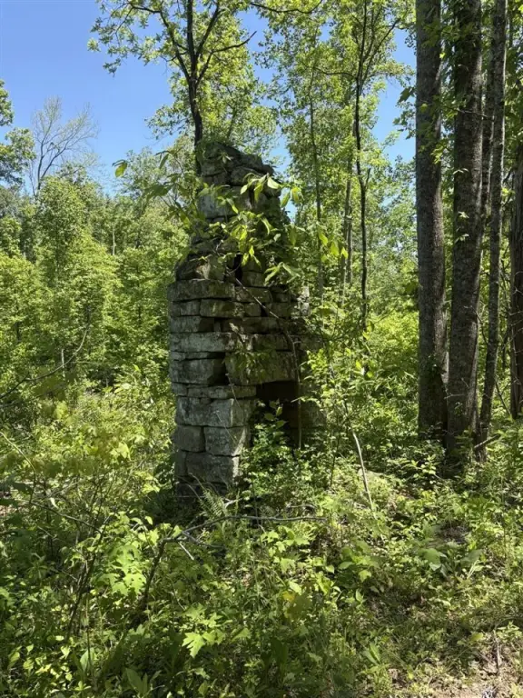 Picture 19