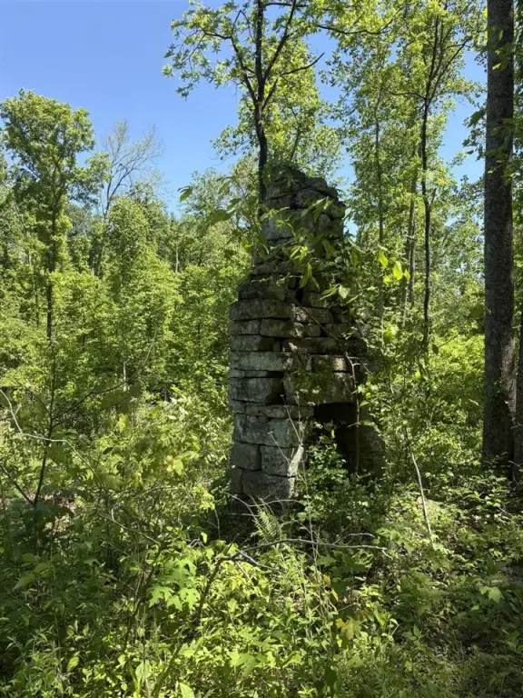 Picture 16