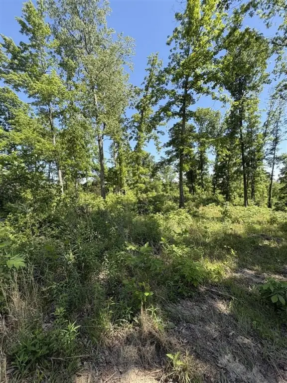 Picture 8