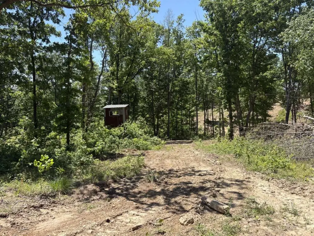 Picture 20