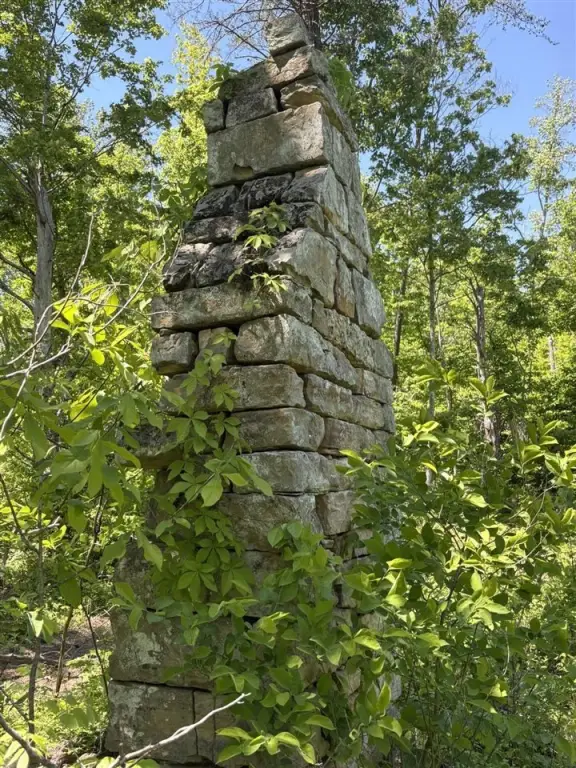 Picture 13