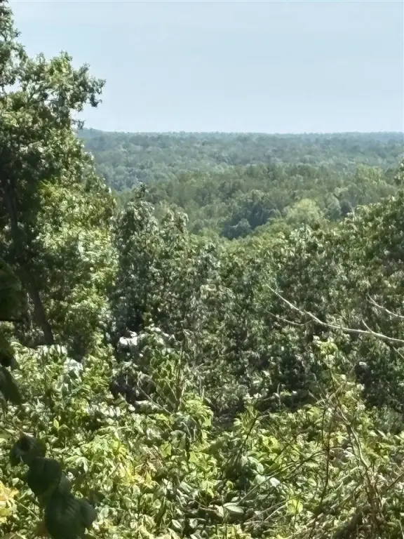 Picture 24