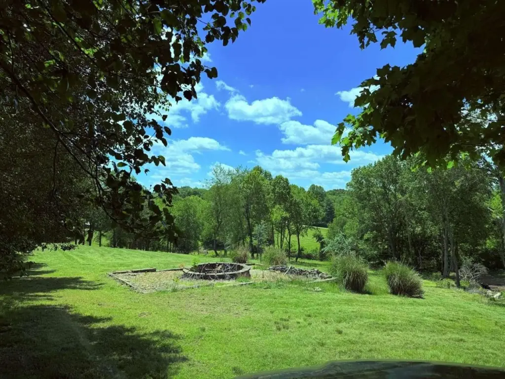 Picture 4