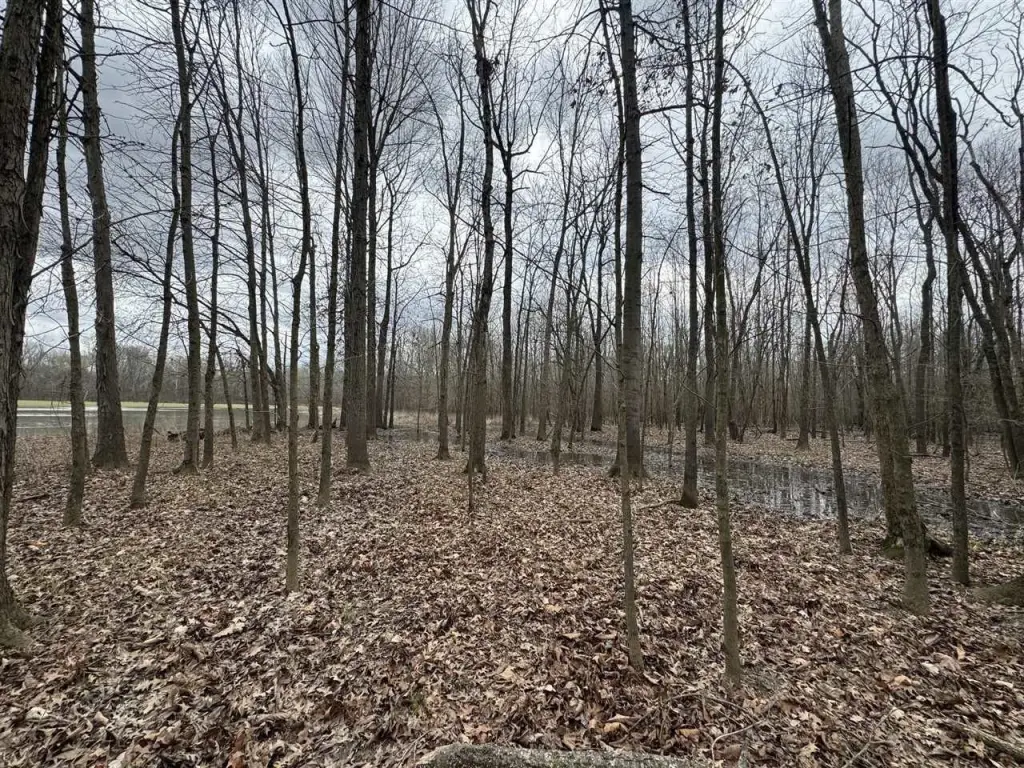 Picture 9