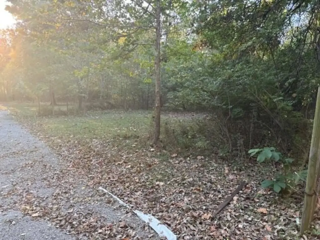 Picture 3