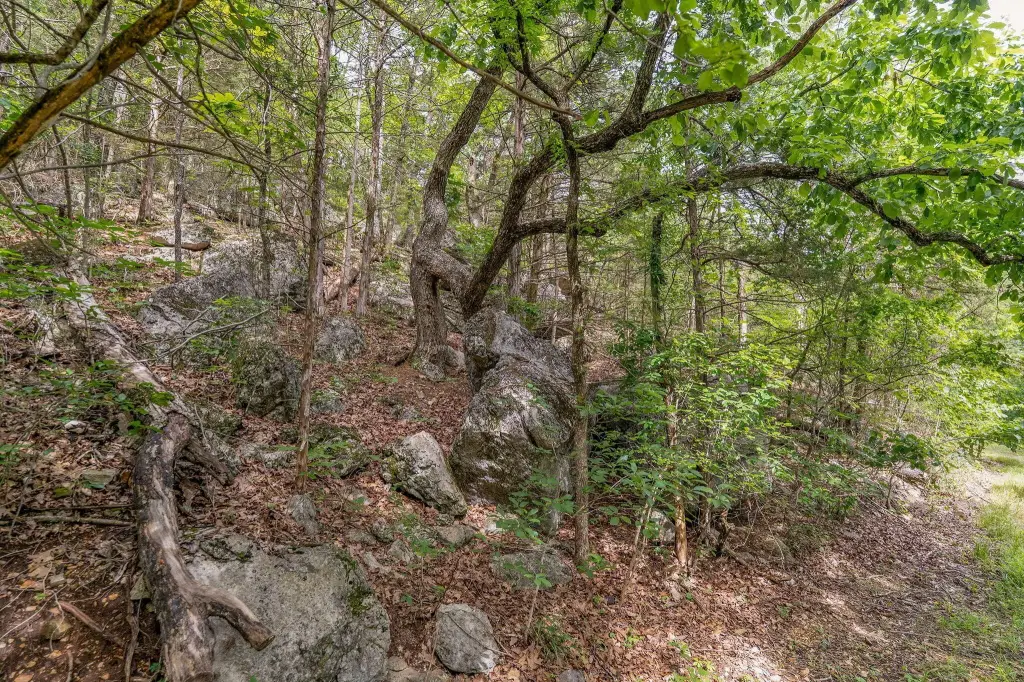Picture 11