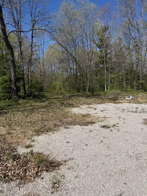 Picture 4