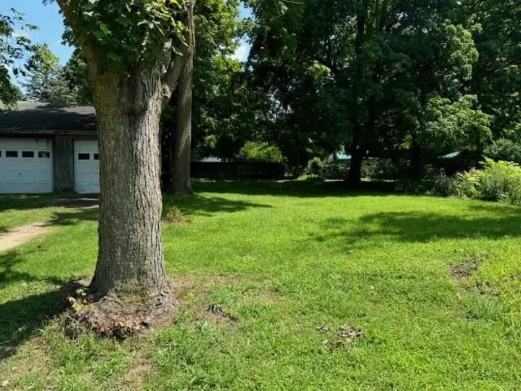 Picture 4