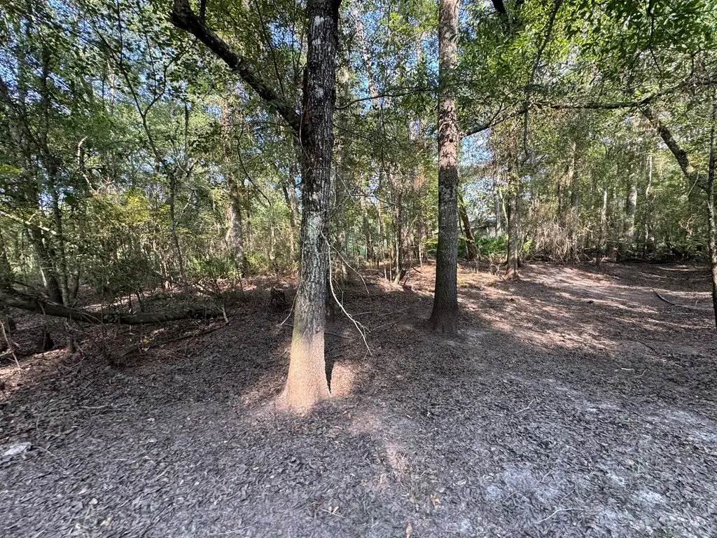 Picture 16
