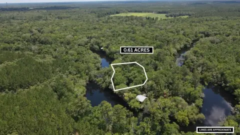 Satilla Riverfront Land