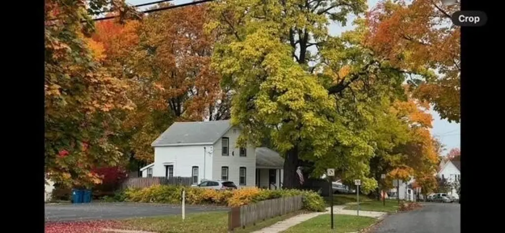 Picture 29