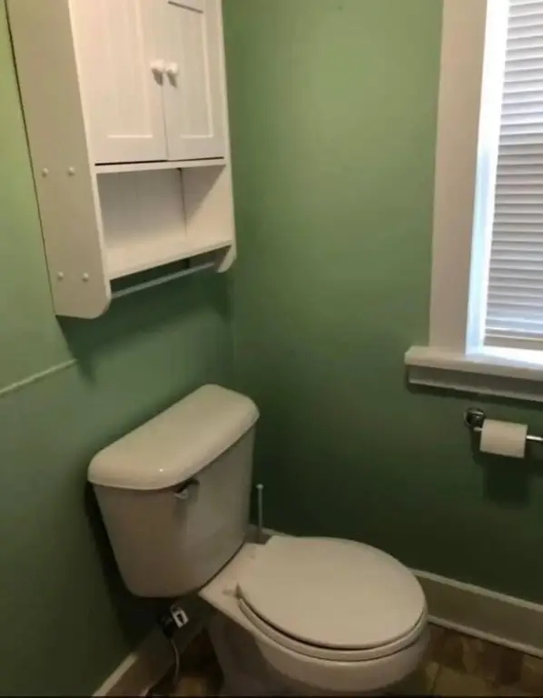 Picture 19