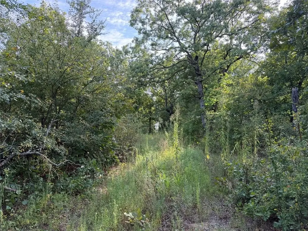 Picture 18
