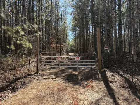 82 Acres Hunting/Timber Land