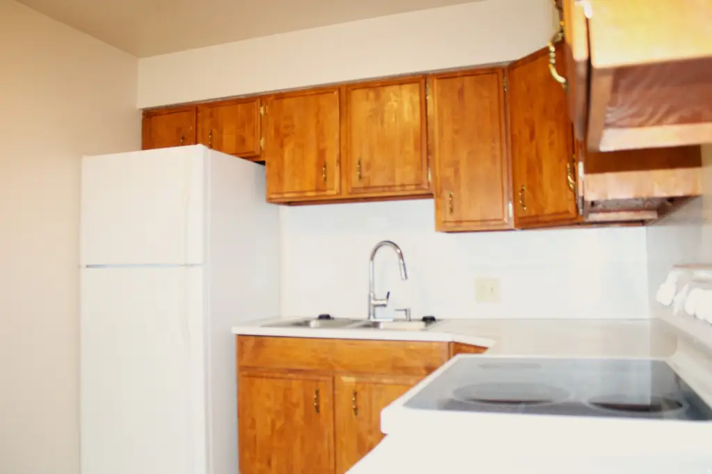 Picture 6