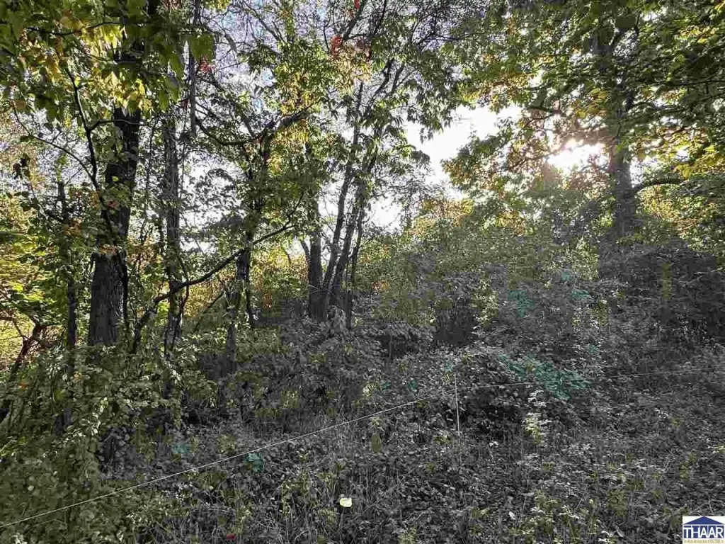 Picture 15