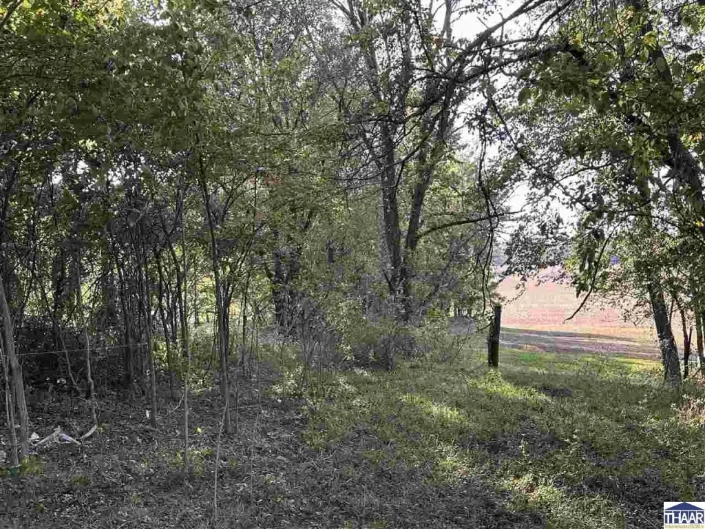 Picture 16