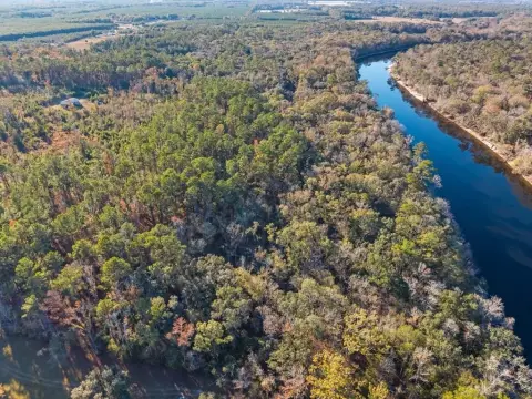 59 Acres on Suwannee River