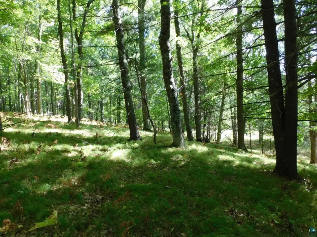 Picture 30