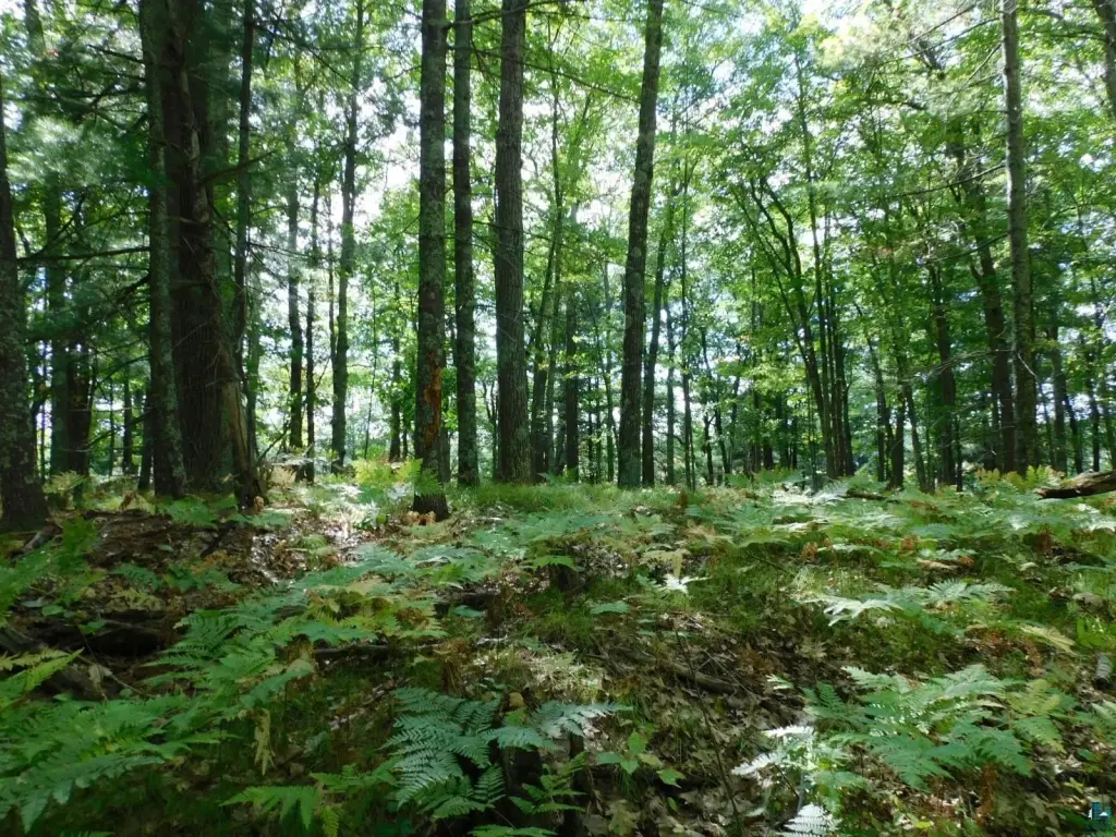 Picture 18