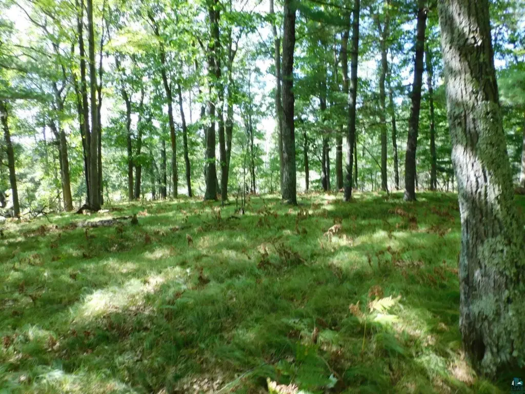 Picture 29