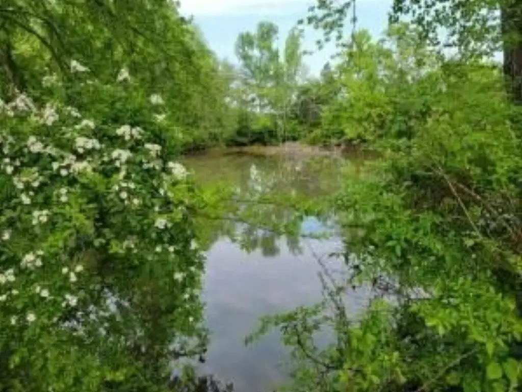 Picture 3