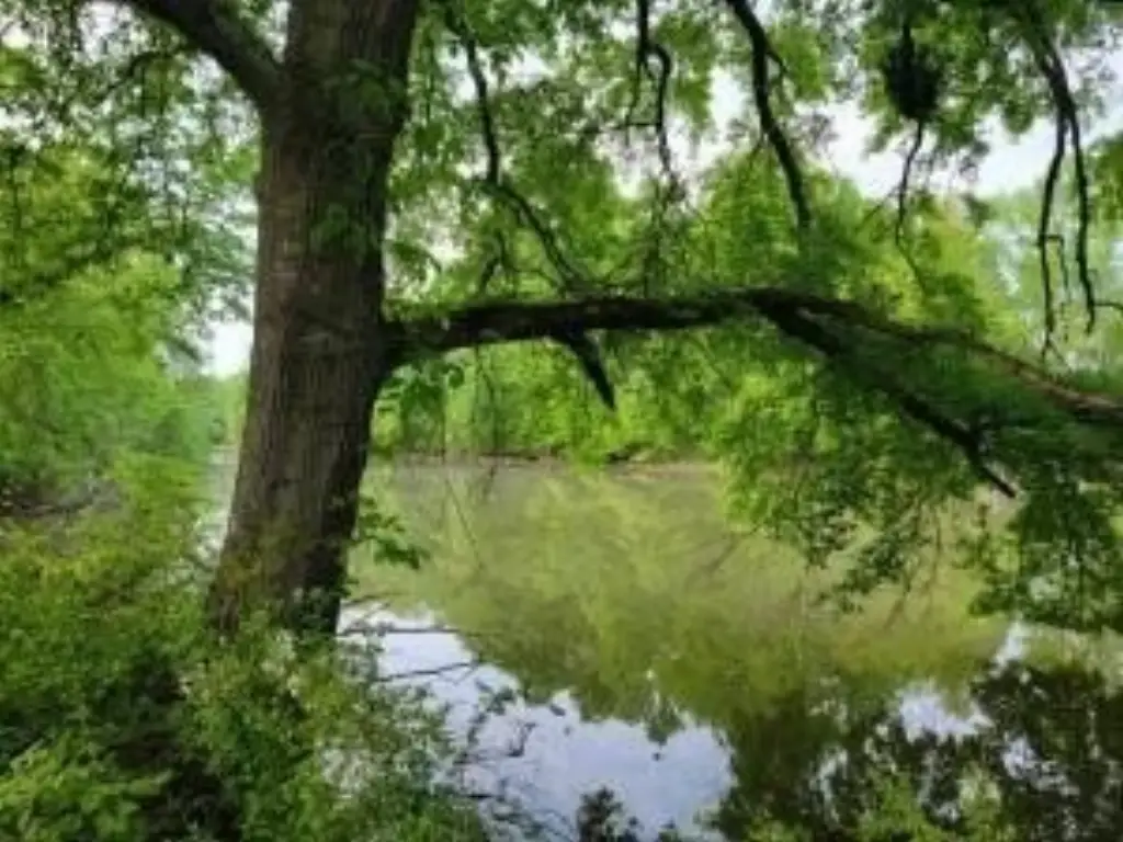 Picture 10